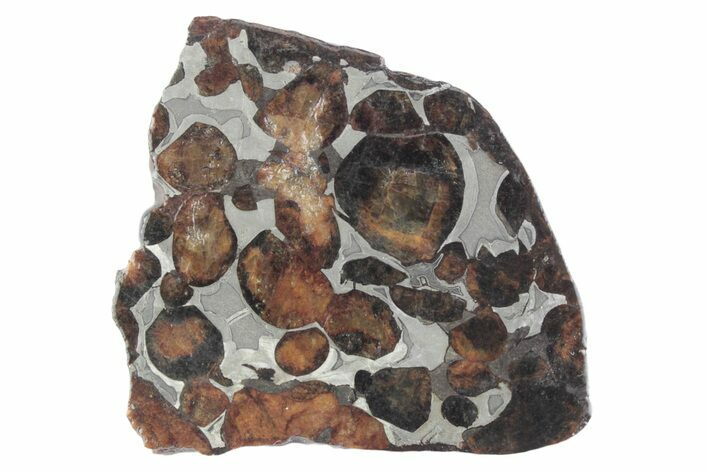 Sericho Pallasite Meteorite ( g) Slice - Kenya #382945
